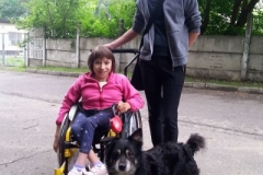 Przekazanie psa dla Kingi Wójcik